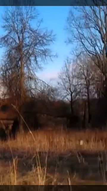 Деревня Малая Горушка Псковская область апрель 2016 смотреть онлайн