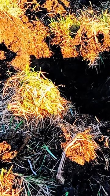 Первая находка порадовала! смотреть онлайн