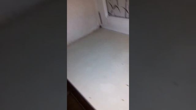 Криворожские бани смотреть онлайн