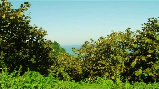 ОРДУ ГУБЕРНАТОРСТВА - ОРДУ Рекламный Фильм (Русский) смотреть онлайн