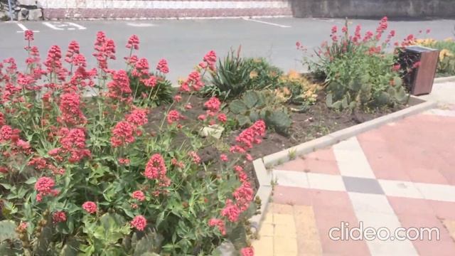 Алушта смотреть онлайн