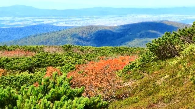 ЯПОНИЯ | 5 ИНТЕРЕСНЫХ МЕСТ | ТОКИО, ФУДЗИ, НАГАСАКИ #geography #japan #япония смотреть онлайн