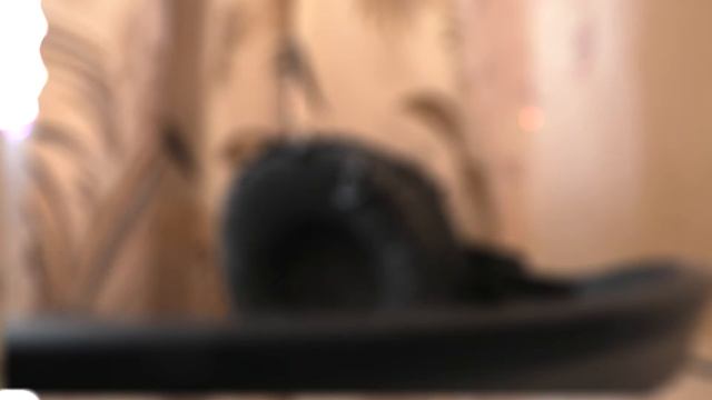 Песня про Омск "Увидимся скоро" смотреть онлайн