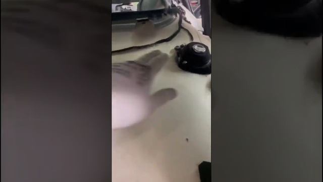 Покупаем вместе с друзьями!