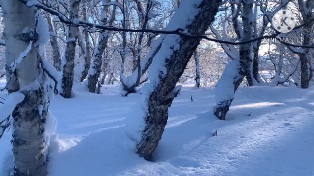 Морозным утром красота 😻 смотреть онлайн
