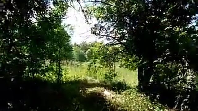 Место для пасеки смотреть онлайн
