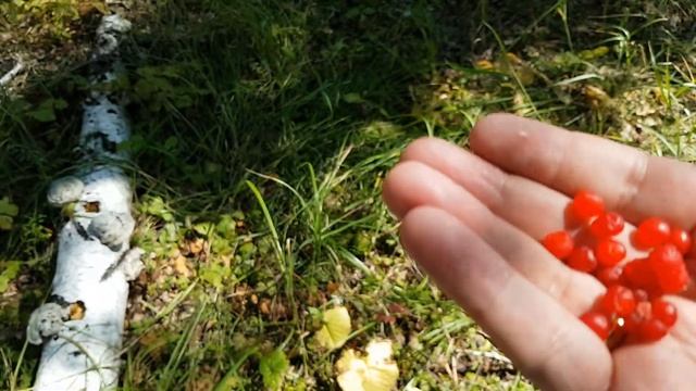 01.08.2020 Курган - Новосибирск, российские дороги, частный туризм на Соболе, Алекс Рантье смотреть онлайн