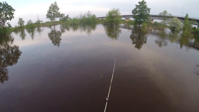 Ambassadeur 2500c, кривороты и...? смотреть онлайн