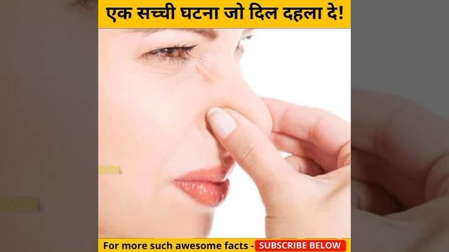 अपने ही मालकिन को मार कर खा गई यह बिल्ली 🤯#shorts #mystery #cat смотреть онлайн