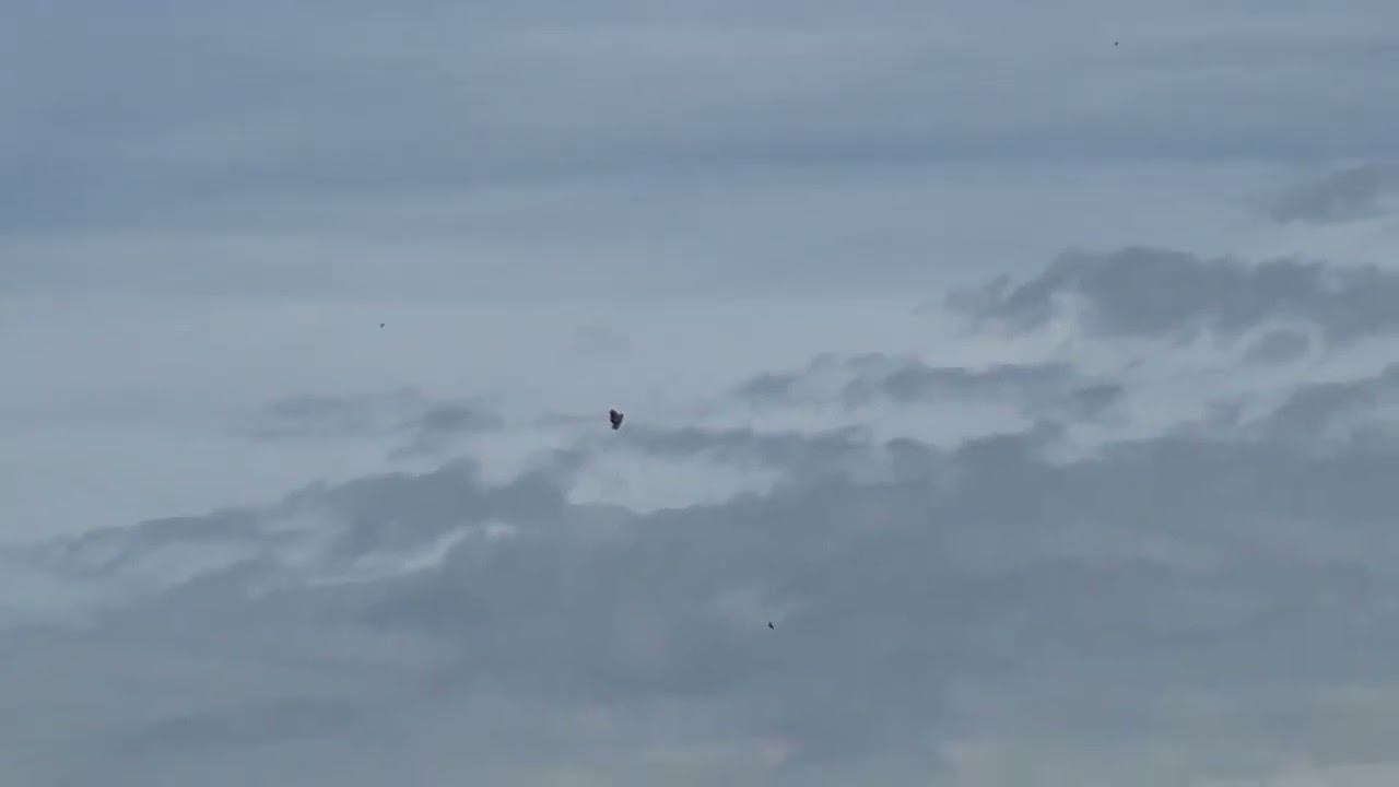 НЛО в битцевском лесу смотреть онлайн