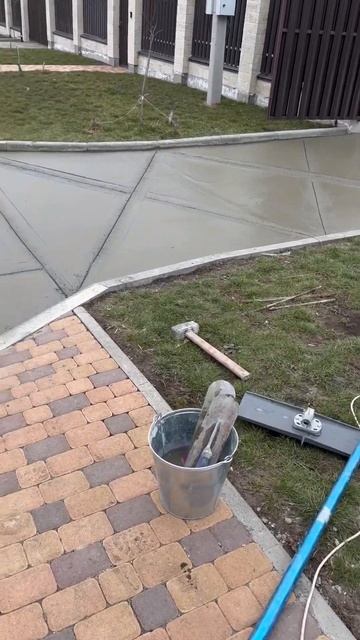 Собаки потоптали бетон #youtube #top #shortsvideo #tiktok #shortvideo смотреть онлайн