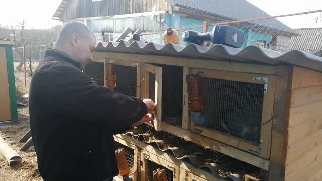 Поилки для кроликов своими руками смотреть онлайн