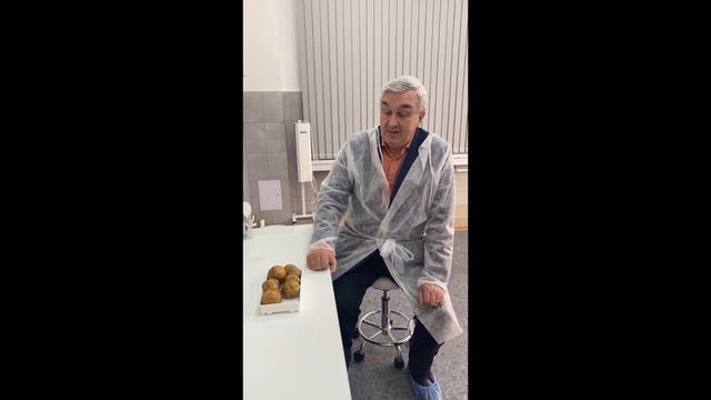 Новый сорт картофеля Сибири Бабр ИРГАУ смотреть онлайн