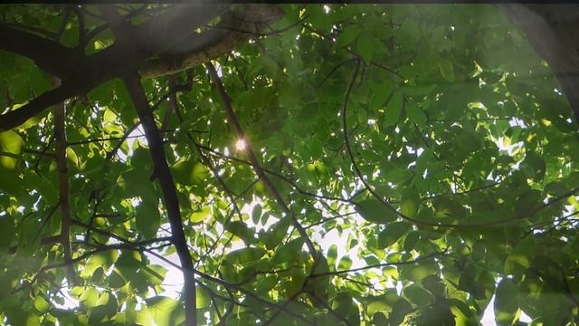 Только на похоронах матери сын узнал ее тайну смотреть онлайн