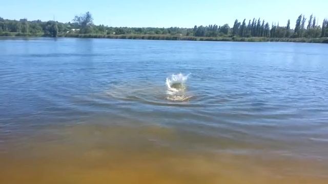 КУПАЕМСЯ И ЗАГОРАЕМ 26.05.2018г ХАРЬКОВ!(1) смотреть онлайн