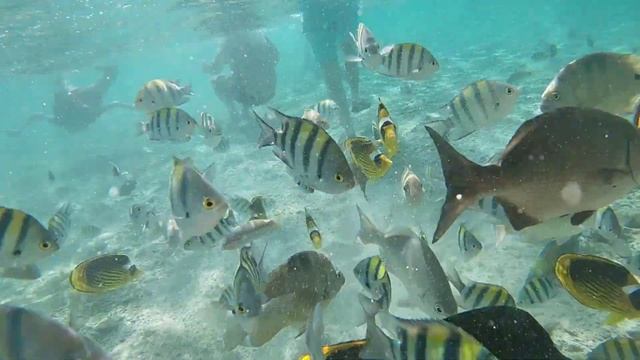 Egypt. Charmillion Gardens Aqua Park. March 2024. Пляж отеля.