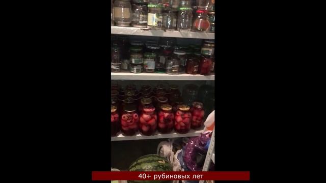 Добро пожаловать в подвал под нашим загородным домом смотреть онлайн