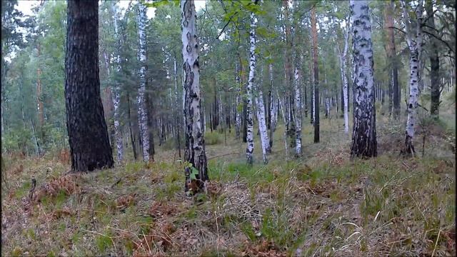 Новые места Новые находки смотреть онлайн