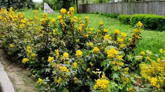 Смотровая площадка в Полтаве смотреть онлайн