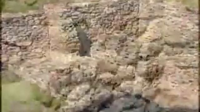 Relax ролик про курорт Анапа смотреть онлайн