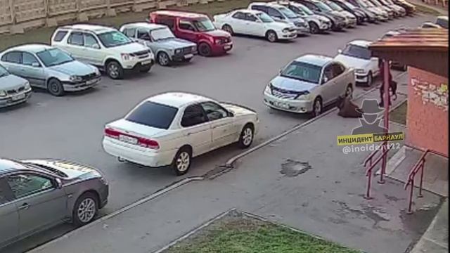 Нападение собак в Новоалтайске смотреть онлайн