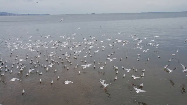Прогулка по Баку часть 6 фото смотреть онлайн
