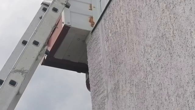 Покупаем самые стильные!