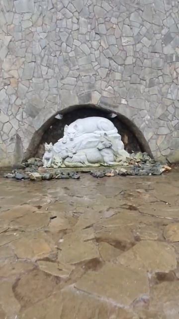 Фильм 4203 Волчья семья #nemosvetlogorsk #relaxdifferentbythesea смотреть онлайн