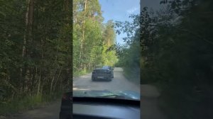 Отдых на Тургояке, обзор кемпинга «Лесная поляна»