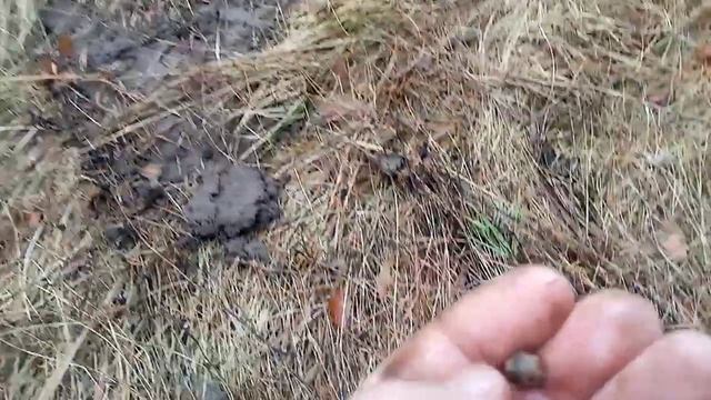 коп в харьковских лисах смотреть онлайн