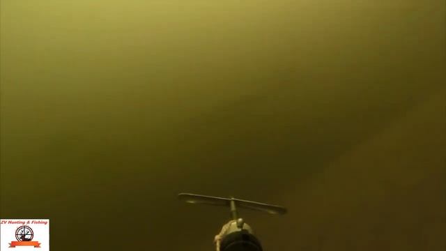 SPEARFISHING FOR GRASS CARP 16 KG Подводная охота на белого амура Белый амур на 16 кг смотреть онлайн