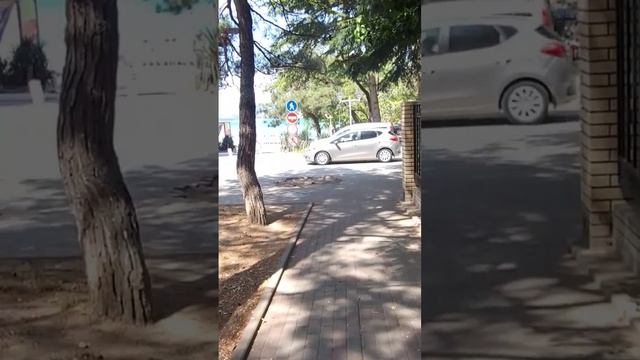 Геленджик сейчас, 12 мая 2024 г. смотреть онлайн