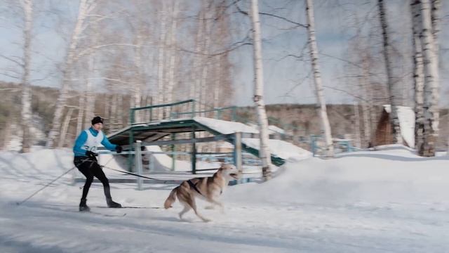 ЗООТЕКА - корма и снаряжение для ездового спорта смотреть онлайн