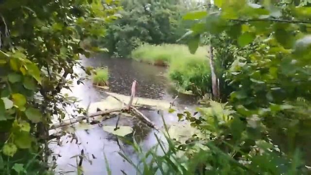 Щука клюёт просто бомба смотреть онлайн