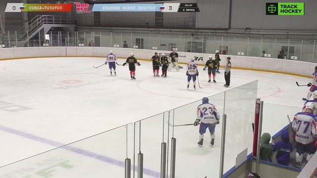 ХК Сокол Vozovoz г Санкт Петербург ХК Ледяные Волки Простор г Москва смотреть онлайн