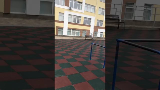 Школа ,,Софиевская Борщаговка,, смотреть онлайн