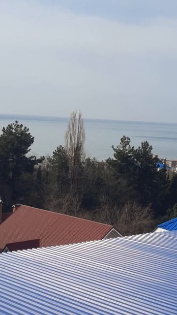 24 февраля. День СЪЕХАВШЕЙ КРЫШИ. Международный праздн? смотреть онлайн