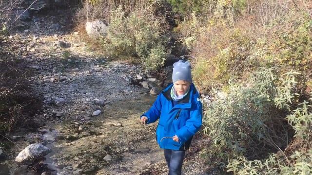 Котопёс и шишки. Кот ходит в походы! смотреть онлайн