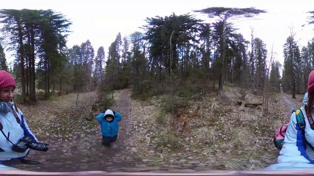 Карелия Лес 360 (первый раз) смотреть онлайн