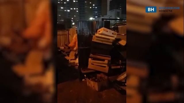В Воронеже горожане заметили стаю крыс на мусорке рядом с местным рынком смотреть онлайн