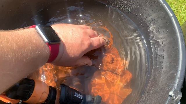 Камни и корни