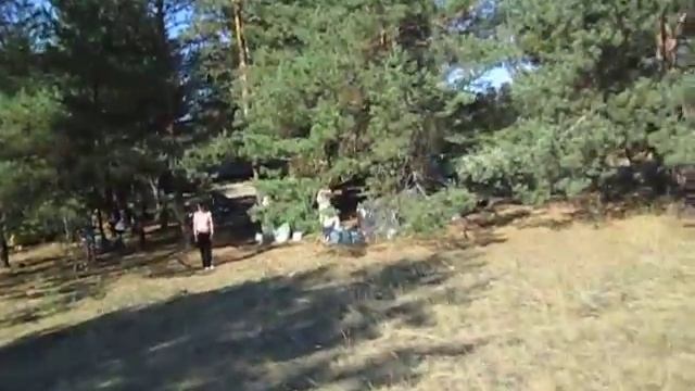 так разыгрались, что к нам прибежала чужая собачка)) смотреть онлайн