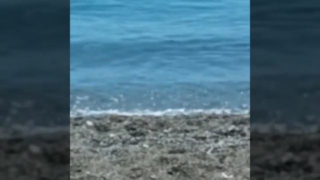 Море в Судаке в июне смотреть онлайн