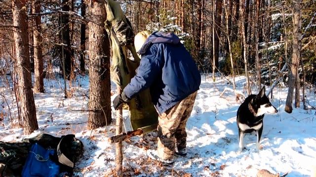 По первому снегу. ЛУЗАН - "рюкзак" Коми охотника. Вторая часть. смотреть онлайн
