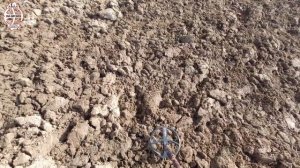 Коп в Дмитровском районе