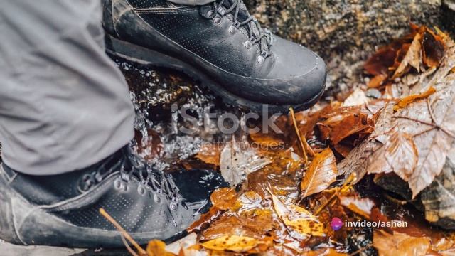 Adidas Hiking Boots | A Comprehensive Review смотреть онлайн