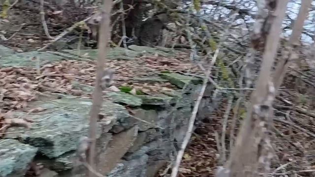 СКОЛЬКО МОЖНО ЗАРАБОТАТЬ НА ГРИБАХ!? смотреть онлайн