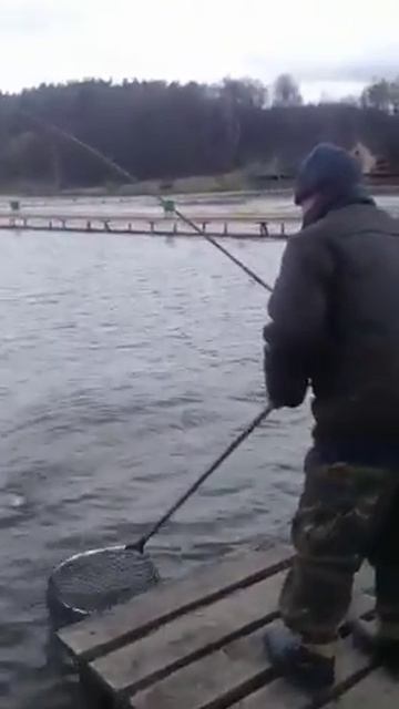 Велинка 21.04.2016 ч.5 смотреть онлайн