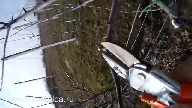 Секаторы LOWE 12серия смотреть онлайн