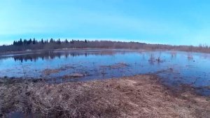 Весенняя охота 2018. Дымный порох и кряквы / Smoke powder and mallards